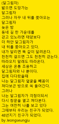 *달그림자*